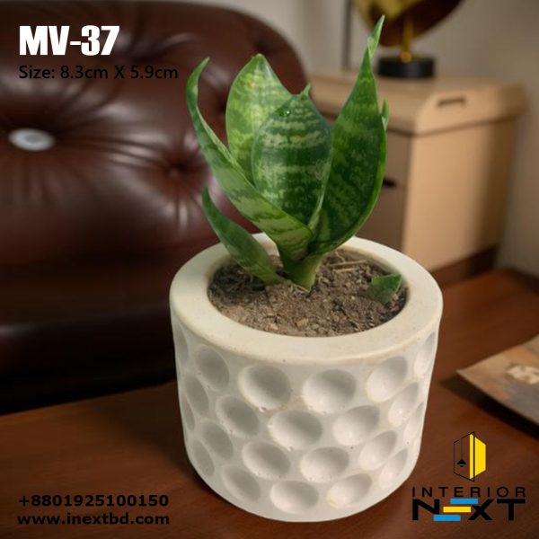 Indoor Plant Pot