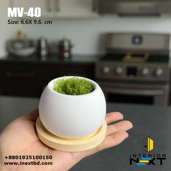 Indoor Plant Pot