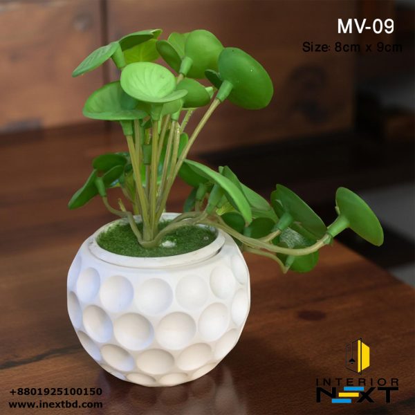 Cactus Pot